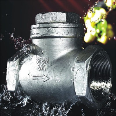 Investment Casting Check Valve